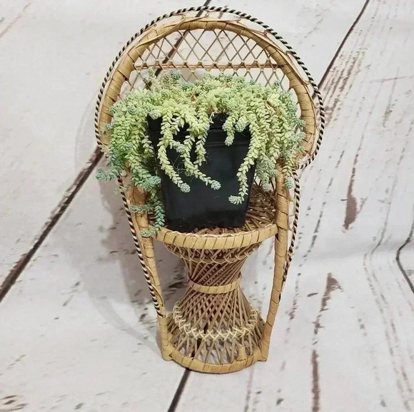 Vintage Boho Mini Wicker Peacock Plant Stand - Picture 1 of 7